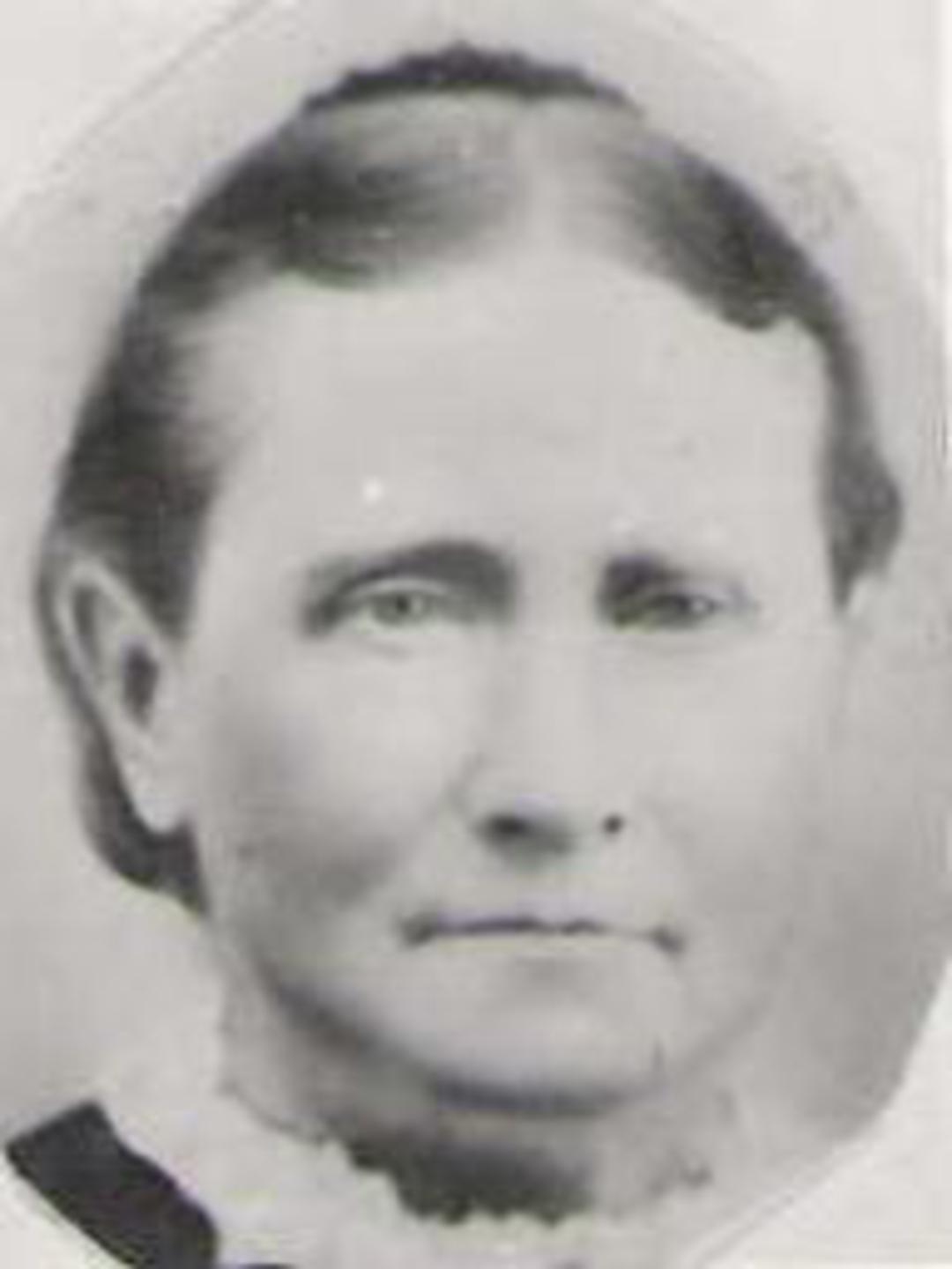 Sarah Vockins (1817 - 1884) Profile
